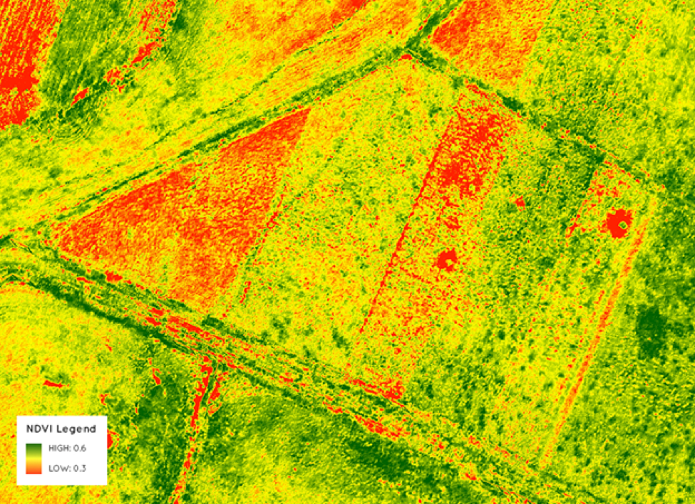 NDVI
